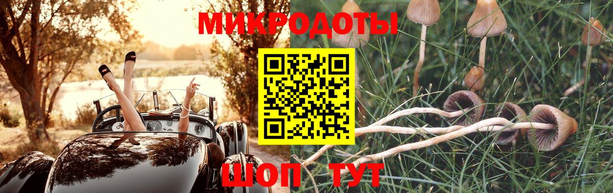 Псилоцибиновые грибы Magic Shrooms Щёкино