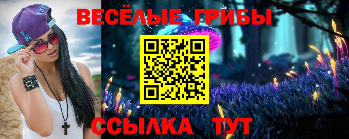 Щёкино  Галлюциногенные грибы Psilocybine cubensis  Псилоцибиновые грибы мицелий  Вход с VPN 